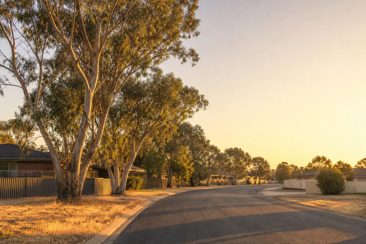 A quiet Australian suburban street at golden hour, gum trees along the verge, dry grass on the nature strip and no traffic on the road.